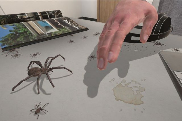 Araignées