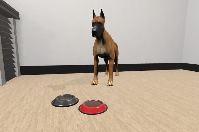 Zoophobie (peur des chiens)