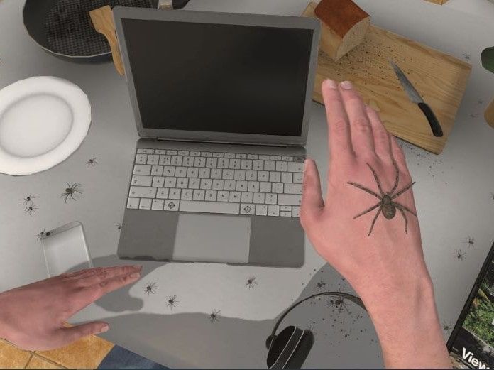 Spiders