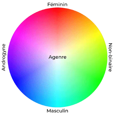 Figure : Représentation simplifiée du spectre du genre, entre féminin, masculin, androgynie, non-binarité et agenre.